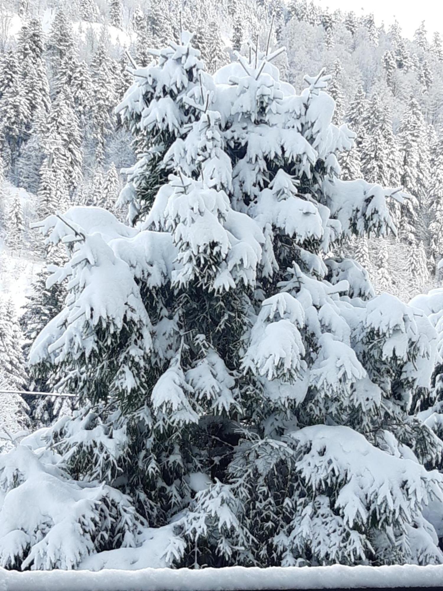 Appartement A La Montagne ,Vue Sur Les Pistes La Bresse Exteriér fotografie